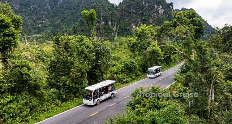 Des chariots électriques circulant sur une route entourée d'une végétation luxuriante.