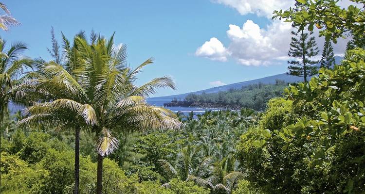 Lush tropical landscape overlooking the ocean.