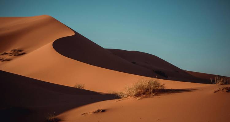 Dunes de sable du désert du Sahara sous un ciel bleu.