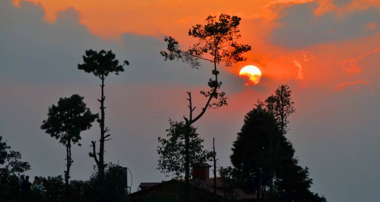 Silhouettes of trees against a dramatic sunset sky.