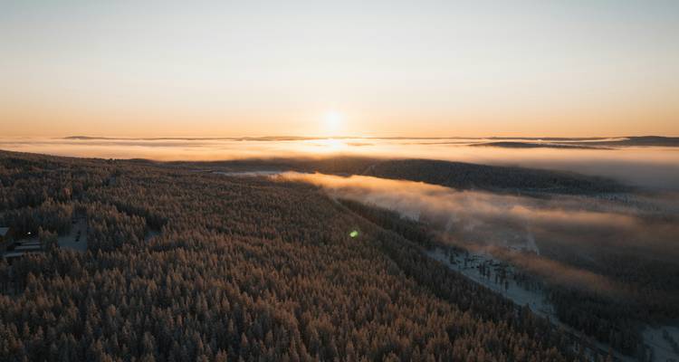Sunrise over a snowy forest landscape.