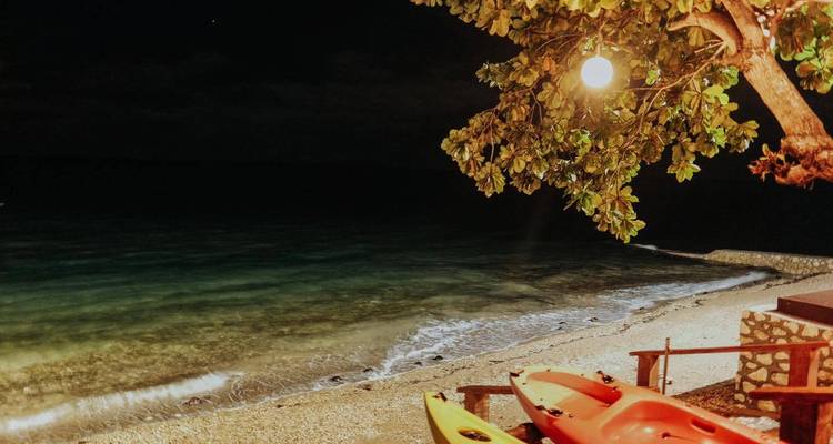 Beach at night with kayaks and trees under a light.