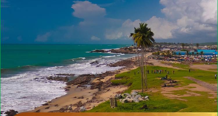Beach with palm trees and waves hitting the shore.