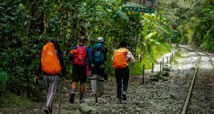 Excursionistas caminando por una vía férrea a través de una zona boscosa exuberante.