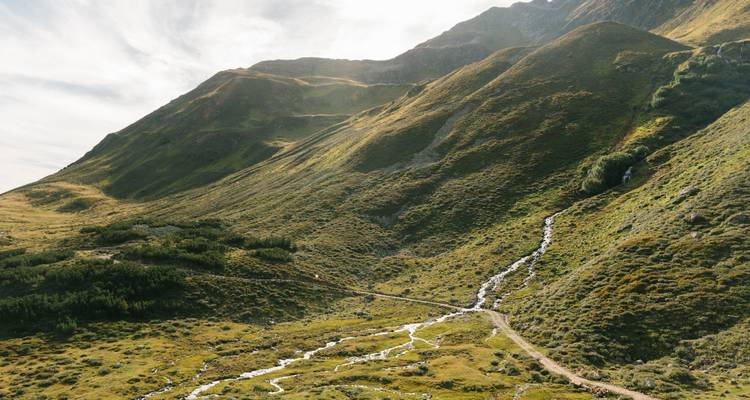 Gebirgsbach, der durch üppig grüne Landschaft fließt.