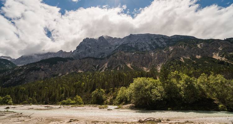 Rivière coulant à travers une forêt verdoyante dans une région montagneuse.