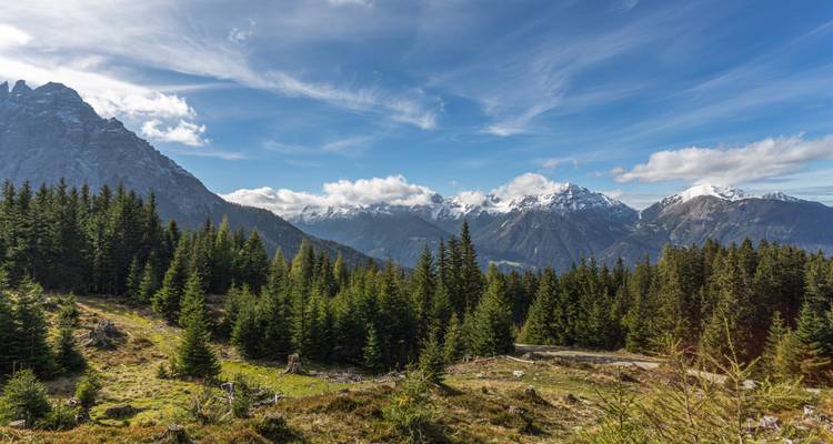 Paysage de montagne avec une forêt d'un vert éclatant et un ciel dégagé.