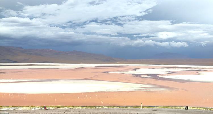 Kleurrijk woestijnlandschap met een zoutvlakte onder een bewolkte hemel.