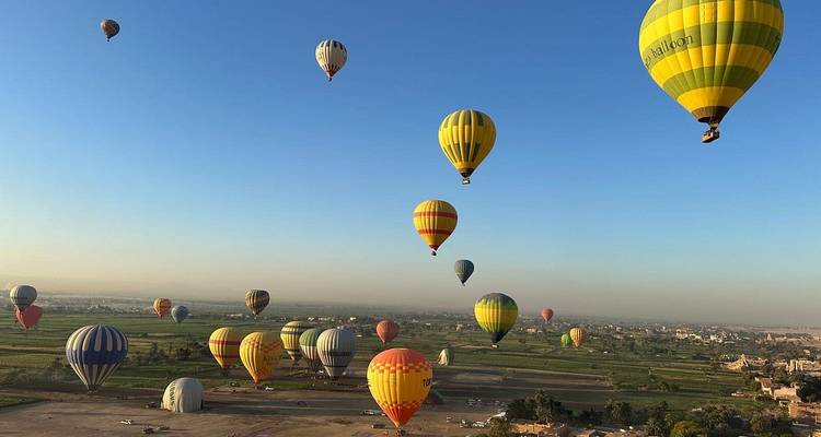 De nombreuses montgolfières dans le ciel au-dessus des champs.