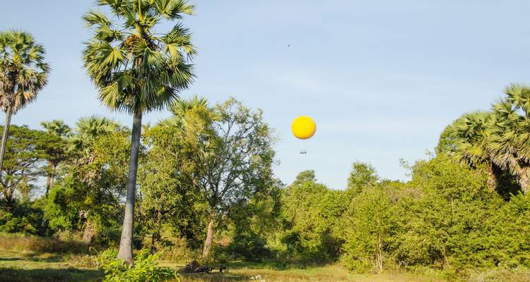 Feld mit Palmen und einem Heißluftballon.