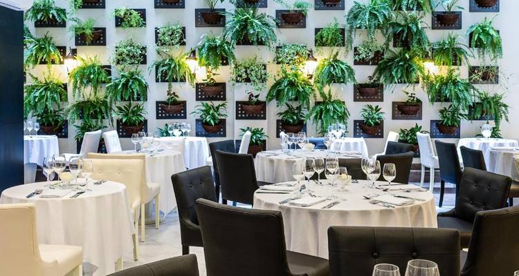 Üppiger Innenbereich mit vertikalem Garten.