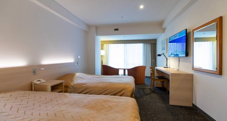 Habitación de hotel sencilla con ventana y televisión