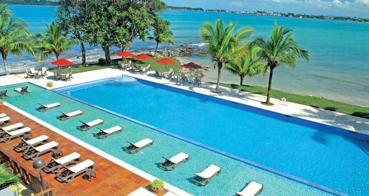 Vue sur la piscine et l'océan avec palmiers et chaises longues.