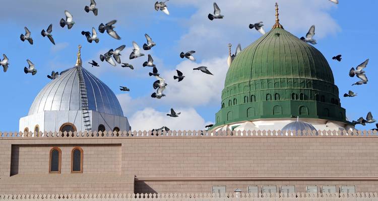 Pájaros volando sobre la Mezquita del Profeta