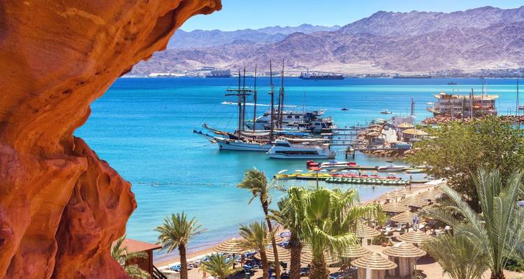 Vista costera con barcos y palmeras