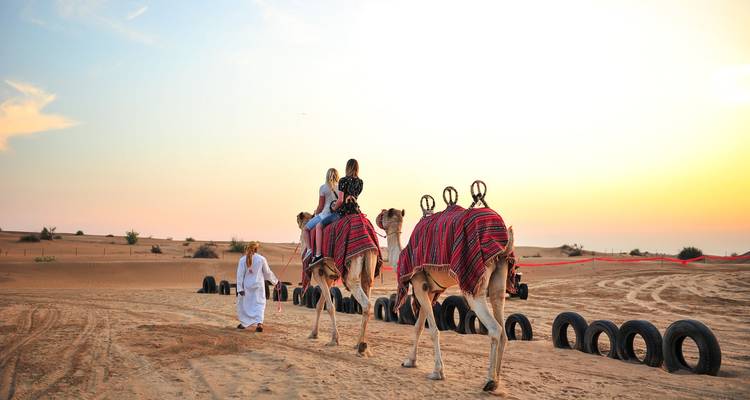 People riding camels in the desert during sunset.