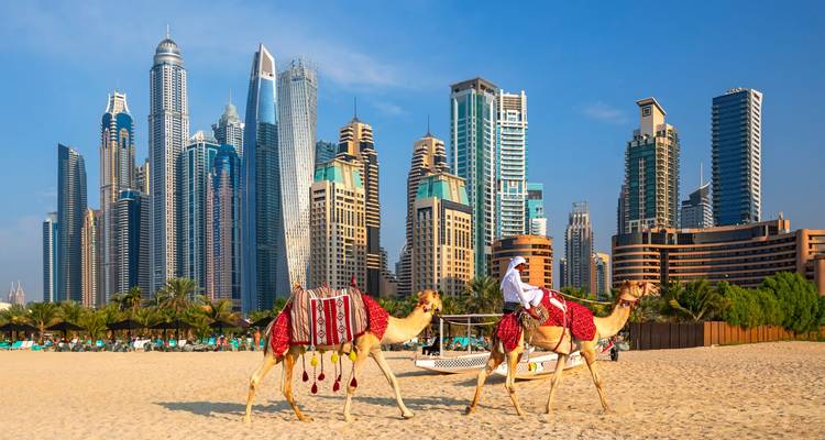 Camels with sand and modern skyscrapers in the background.