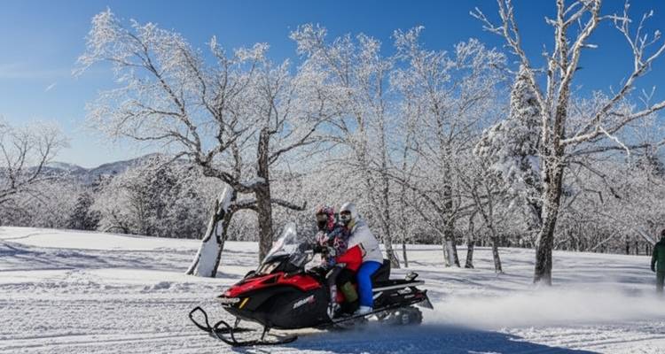 Twee mensen die op een sneeuwscooter rijden in een besneeuw bos
