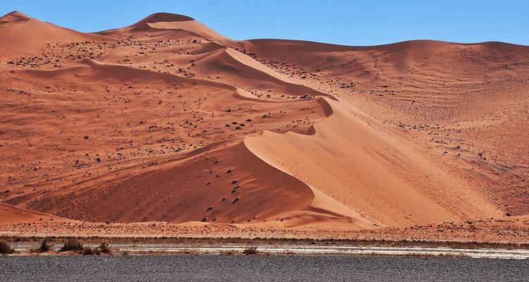 Majestuosas dunas de arena roja bajo un cielo azul despejado.