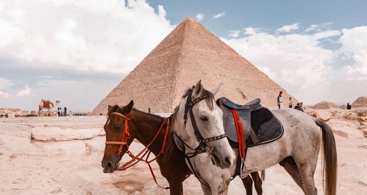 Caballos frente a la Gran Pirámide con visitantes alrededor.