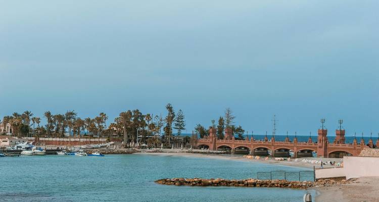 Una escena costera con un puente y palmeras distantes.