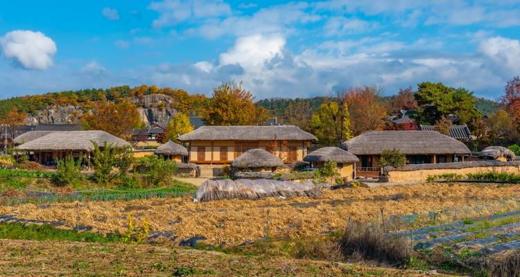 Traditionele huizen met rieten daken in een landelijk landschap.