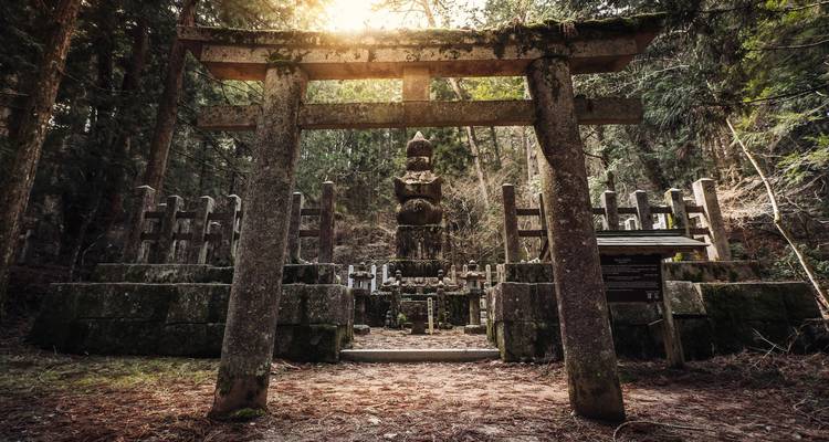 Portique torii en pierre dans une zone forestière avec la lumière du soleil filtrant à travers les arbres.