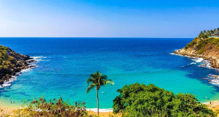 Bahía turquesa bordeada por promontorios exuberantes y una palmera solitaria en primer plano.
