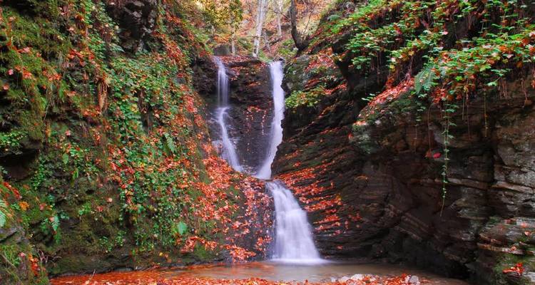 Une cascade pittoresque à plusieurs niveaux dégringolant à travers une gorge luxuriante couverte de lierre avec des feuilles d'automne éclatantes éparpillées sur les rochers.