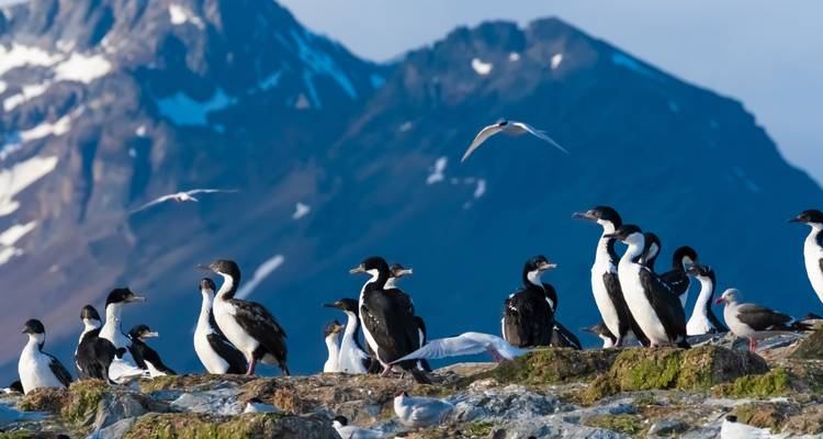Patagonian Highlights - Exodus Adventure Travels 8