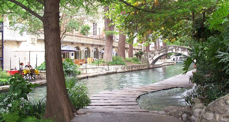 Scène de promenade au bord de la rivière avec sentiers, arbres et espace de restauration.