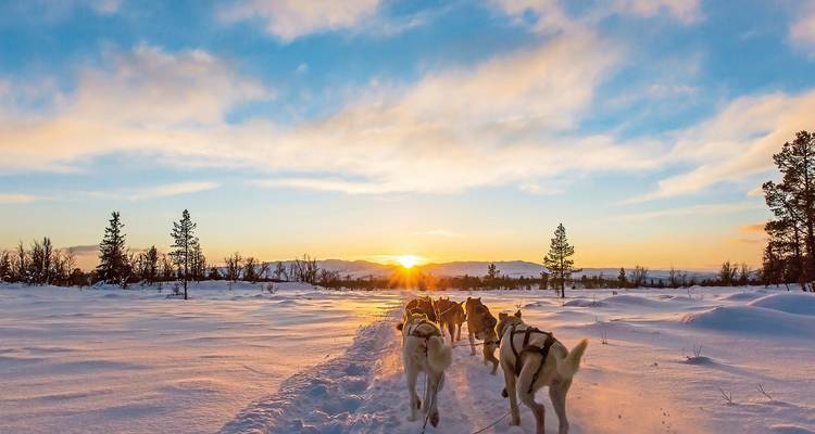 Huskys ziehen einen Schlitten über verschneites Gelände bei Sonnenuntergang.