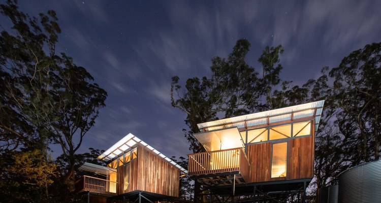 Vista nocturna de cabañas de madera elevadas rodeadas de árboles.