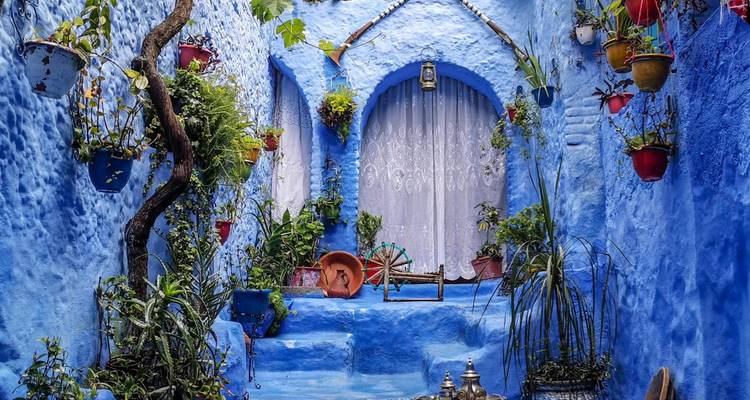 Cour décorative bleue remplie de plantes et de détails architecturaux.