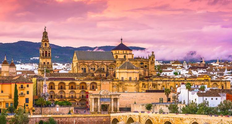 Vue panoramique d'une ville historique avec une cathédrale imposante et l'architecture environnante sous un ciel rose.