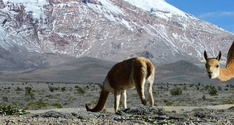 Les incontournables de l'Équateur : Des Andes à l'Amazonie - Exodus Adventure Travels 10