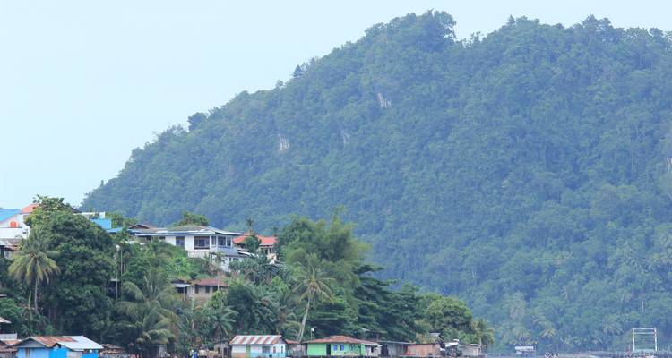 Huizen aan de voet van een weelderige groene heuvel.