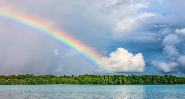 Regenboog boven een bosgebied bij een waterlichaam.