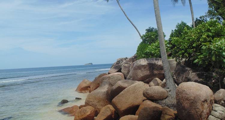 Rivage rocheux avec palmiers et île lointaine.