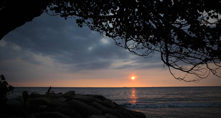 Vue sur l'océan avec coucher de soleil et rivage rocheux encadré d'arbres.