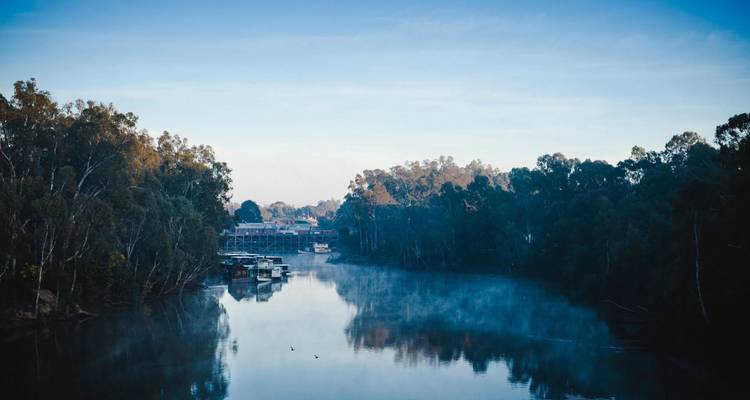 Morgennebel steigt über einen ruhigen Fluss auf, der von Eukalyptusbäumen gesäumt und von vertäuten Raddampfern geprägt ist.