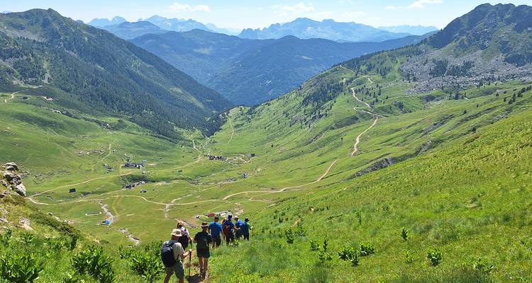 Hiking group descending a valley trail surrounded by green slopes.