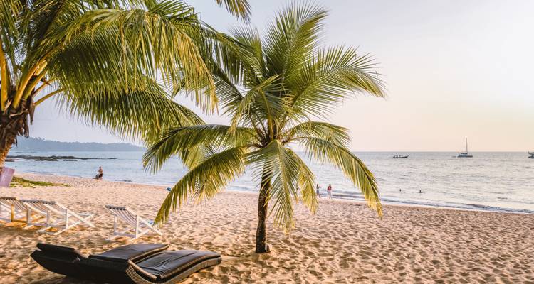Strand met palmbomen, stoelen en mensen in de verte.