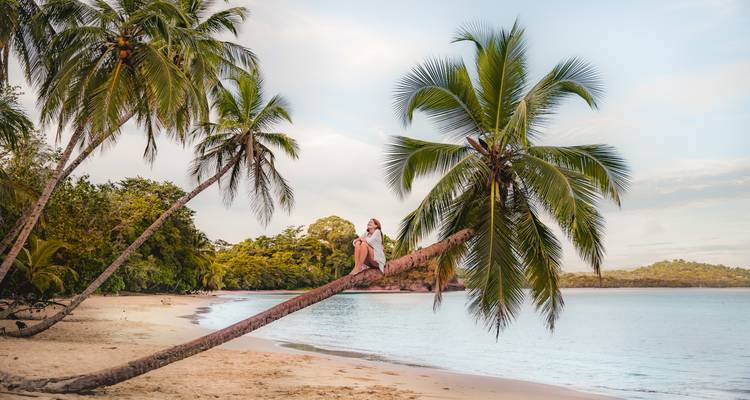 Persoon zittend op een hellende palmboom op een strand.