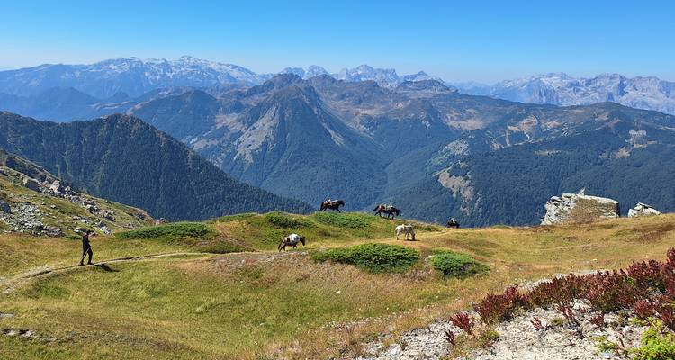 Pradera de alta montaña donde un excursionista camina junto a caballos de carga pastando con amplias vistas de las crestas