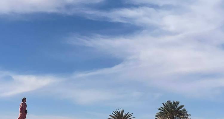 Personne dans un paysage désertique avec des palmiers et un ciel bleu.
