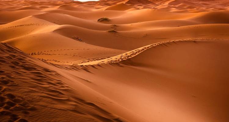 Golden sand dunes undulate under warm evening light with footprints tracing their crests.