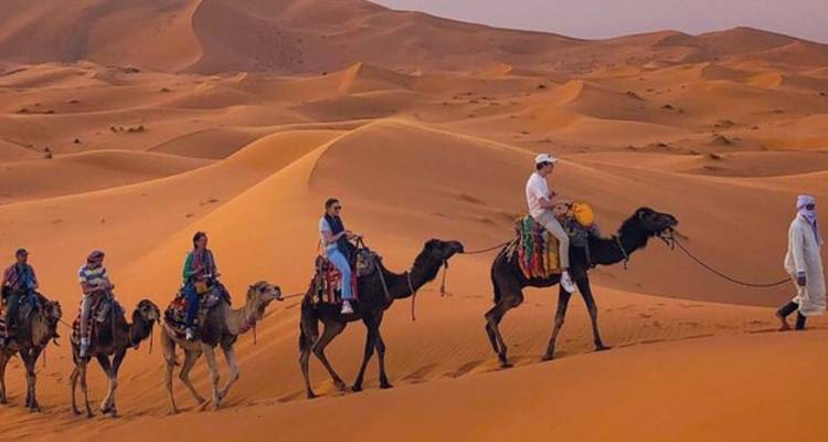 People riding camels in the desert.
**French translation:**
Des gens qui montent des chameaux dans le désert.