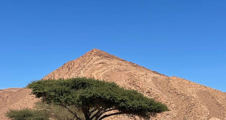 Berg met blauwe lucht en een boom op de voorgrond.