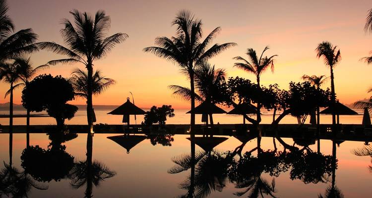 Palmiers reflétés dans l'eau au coucher du soleil.
